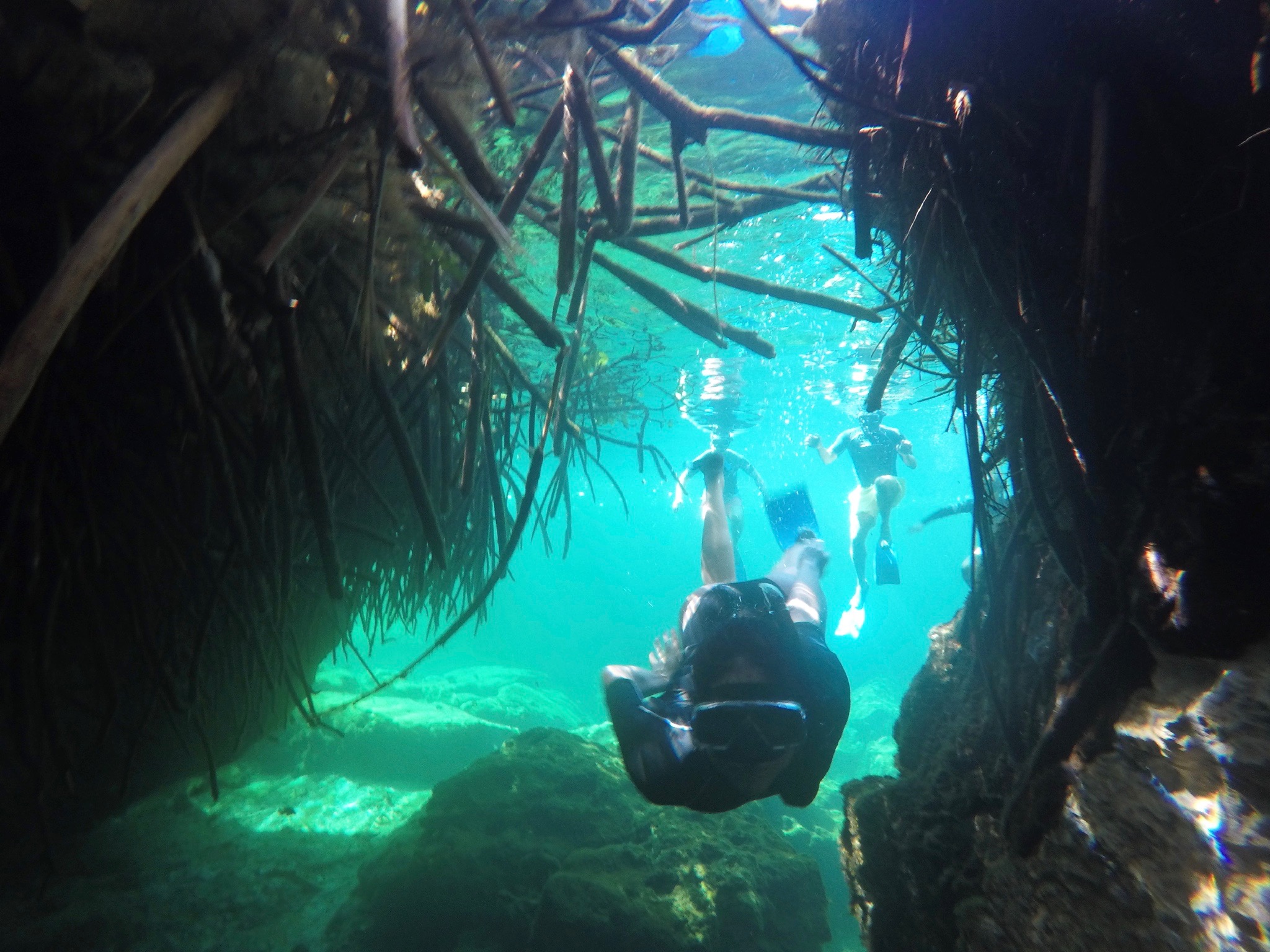 Cenote Free Diving