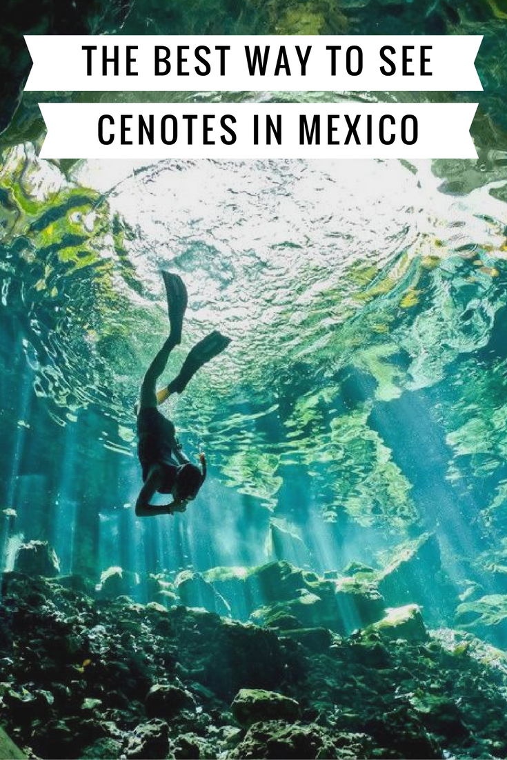 Swimming in Mexico's cenotes is a bucket list item you need to have!