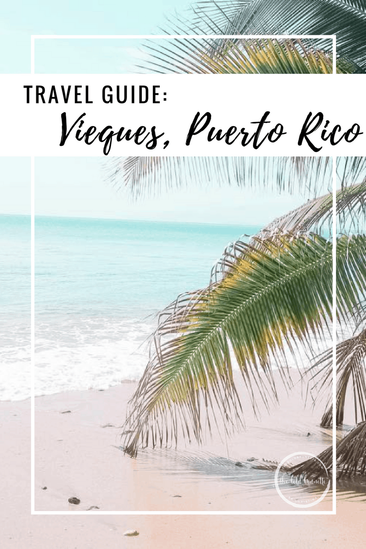 These the top things to do on Vieques Island, Puerto Rico