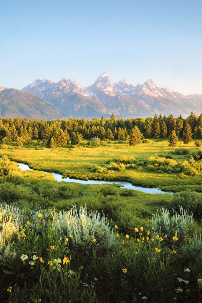 Back Tail Ponds Grand Teton | 10 Best Places to Visit in the US