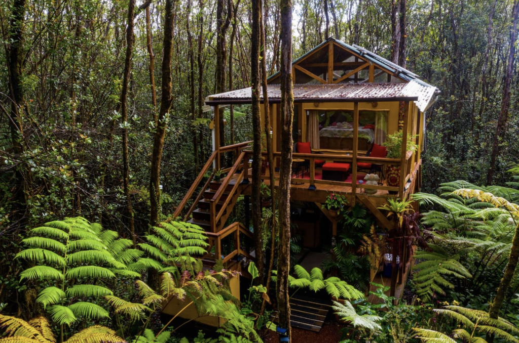 Peaceful Rainforest Treehouse in Hawaii