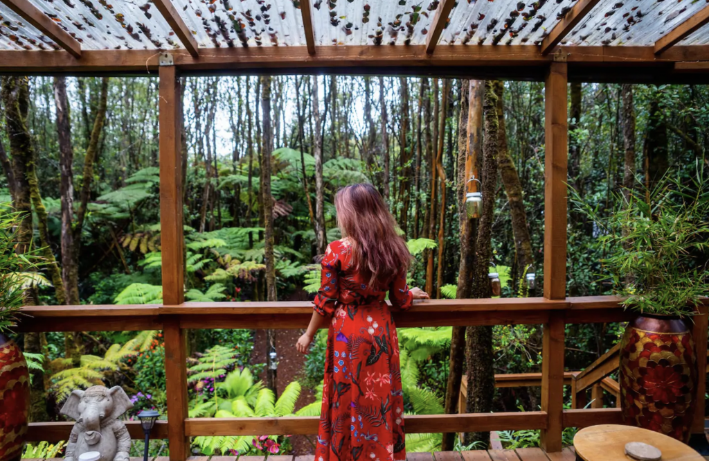 Peaceful Rainforest Treehouse in Hawaii