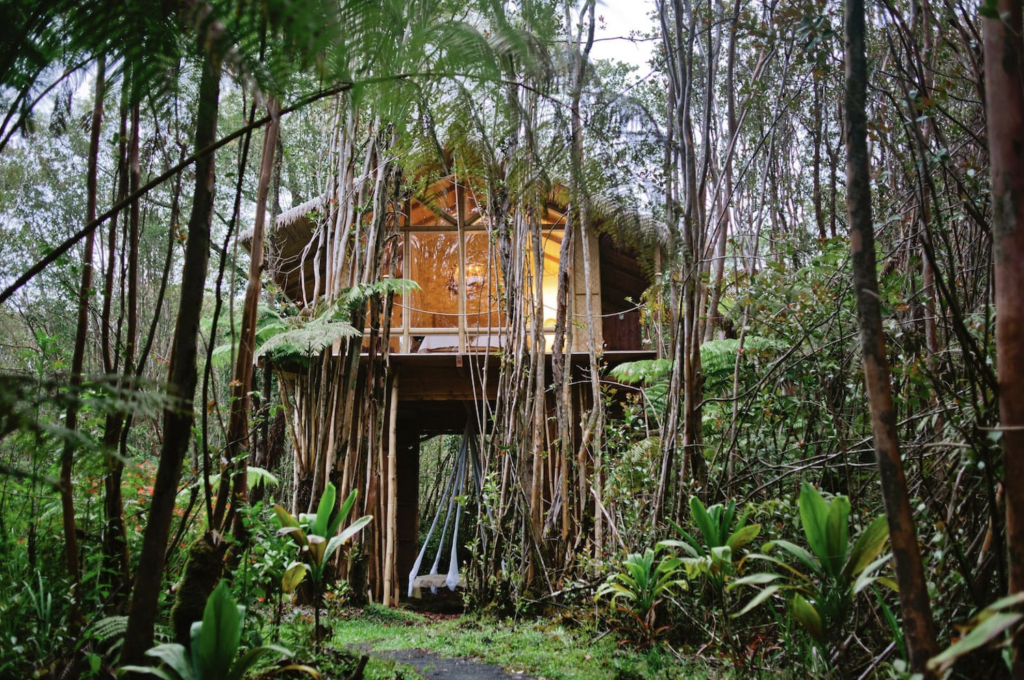 Tropical Treehouse 02 | 20 Coolest in the United States