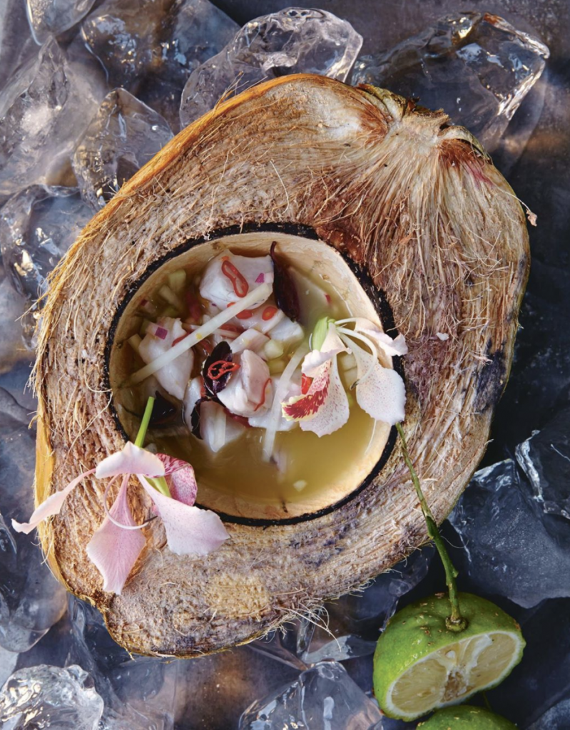 Ceviche at Hartwood Tulum: Tulum Travel Guide: Where to Stay, Eat, and Play
