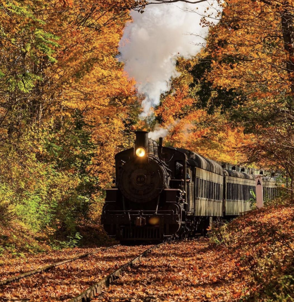 essex steam train in the fall | Where to See Fall Foliage In and Around New York City
