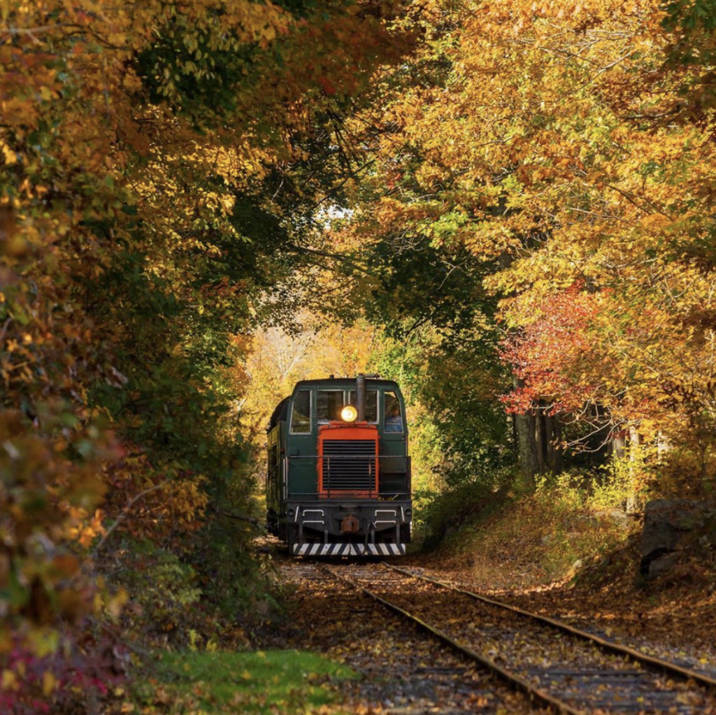 Essex CT train in fall | Where to See Fall Foliage In and Around New York City