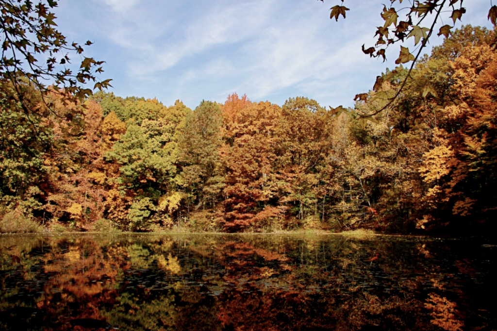 Greenbelt Nature Center lake in fall