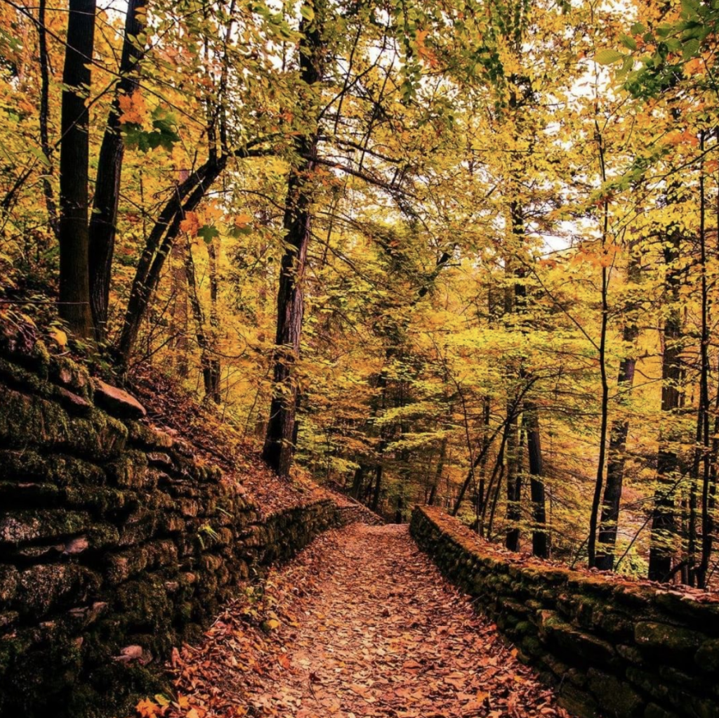 Letchworth autumn leaves on trail | Where to See Fall Foliage In and Around New York City
