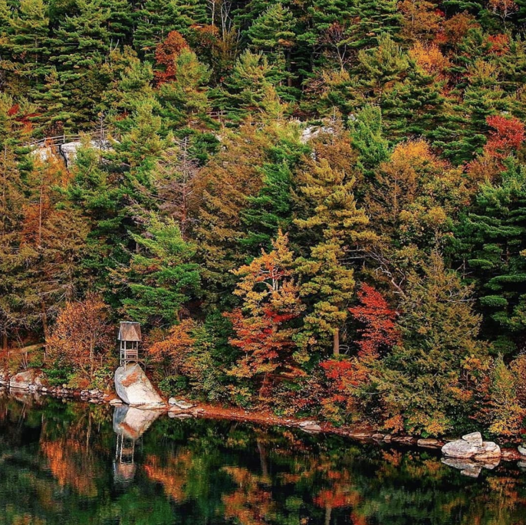 Surrounding forest in fall at Mohonk mountain house | Where to See Fall Foliage In and Around New York City