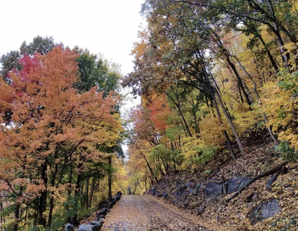 fall walkway in NJ Palisades