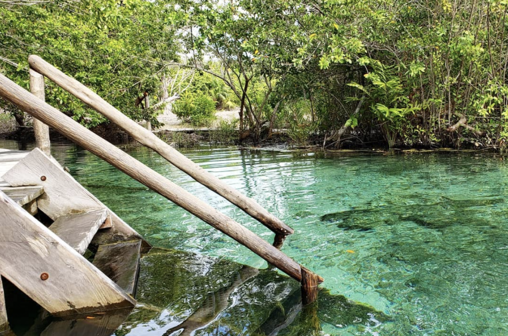 Mangroves at Yum Balam | The Ultimate Isla Holbox Travel Guide