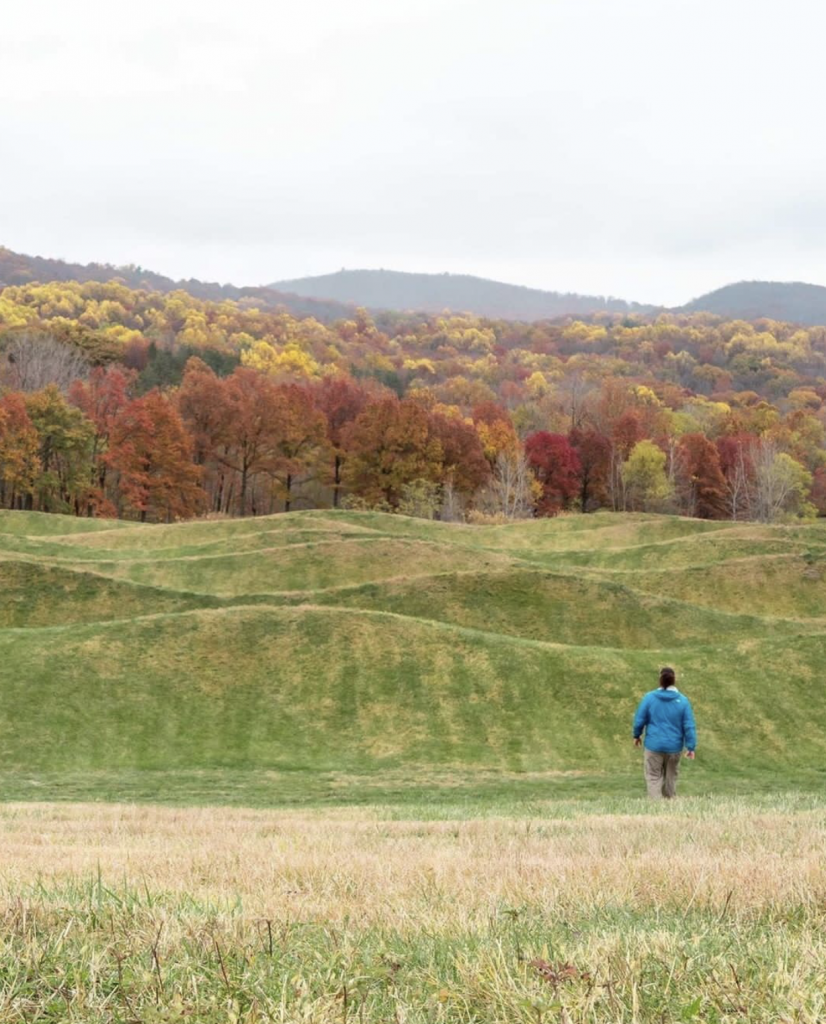 View of autumn field at Storm King Art Center 