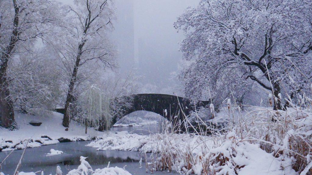 Central park New York City in the snow | Best Places to Travel in the US in the Winter