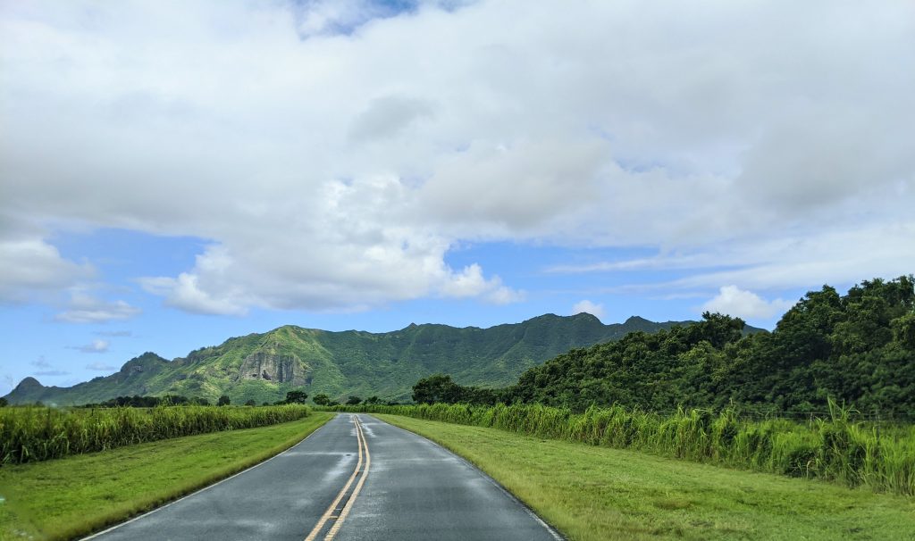 Kauai Hawaii lush greenery | Best Places to Travel in the US in the Winter