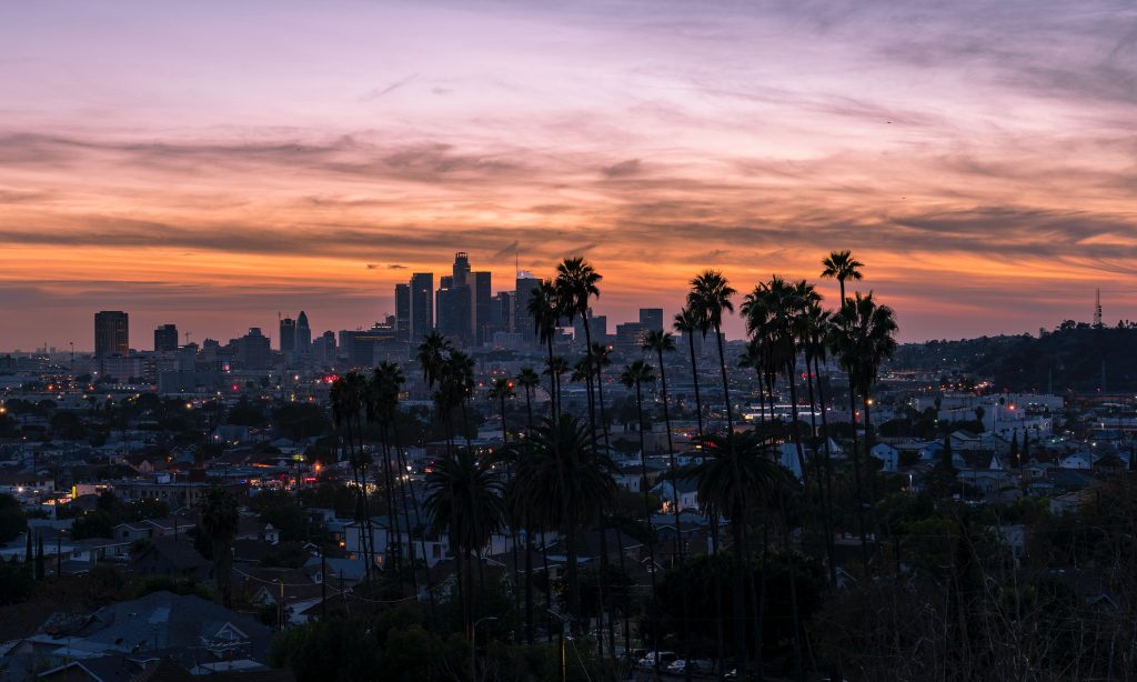 View of Los Angeles and palm trees