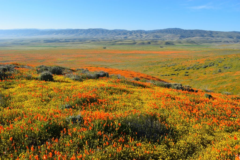 Antelope Valley | 12 places to travel to in the US this spring