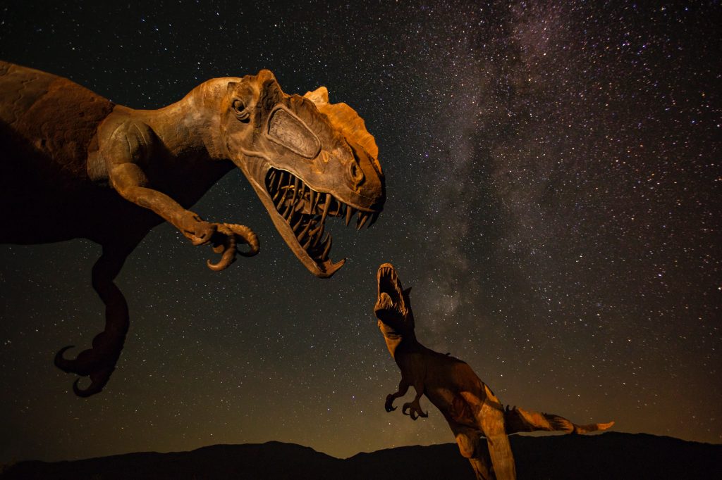 Anza Borrego desert state park | 12 places to travel to in the US this spring