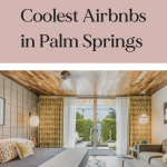 Palm Springs Airbnbs